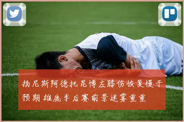 扬尼斯阿德托昆博左膝伤恢复慢于预期 雄鹿季后赛前景迷雾重重