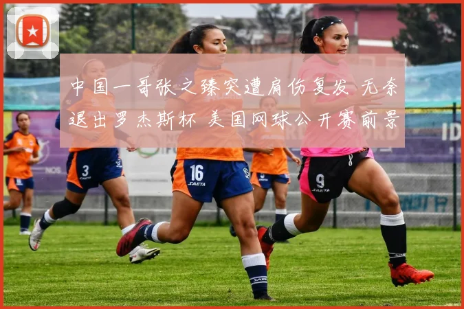 中国一哥张之臻突遭肩伤复发 无奈退出罗杰斯杯 美国网球公开赛前景蒙上阴影
