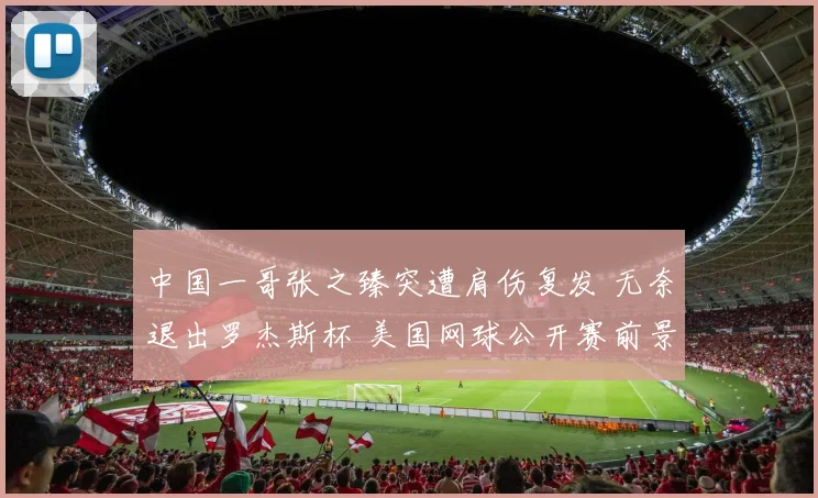 中国一哥张之臻突遭肩伤复发 无奈退出罗杰斯杯 美国网球公开赛前景蒙上阴影